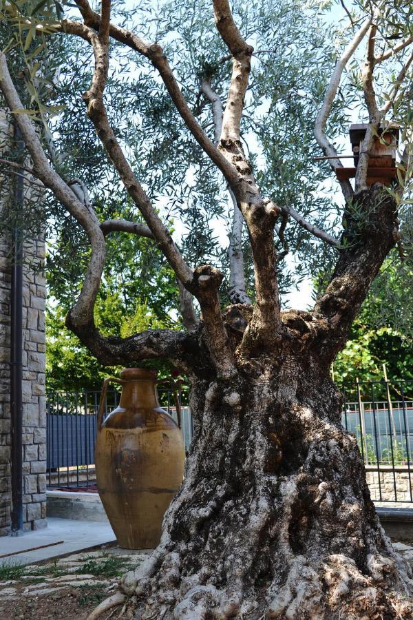 Riflessi D'Arte Bed & Breakfast Provaglio d'Iseo Luaran gambar